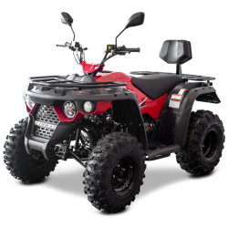 ATV Linhai M210 2x4 EFI T3b