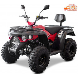 ATV Linhai M210 2x4 EFI T3b